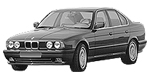 BMW E34 P0C06 Fault Code